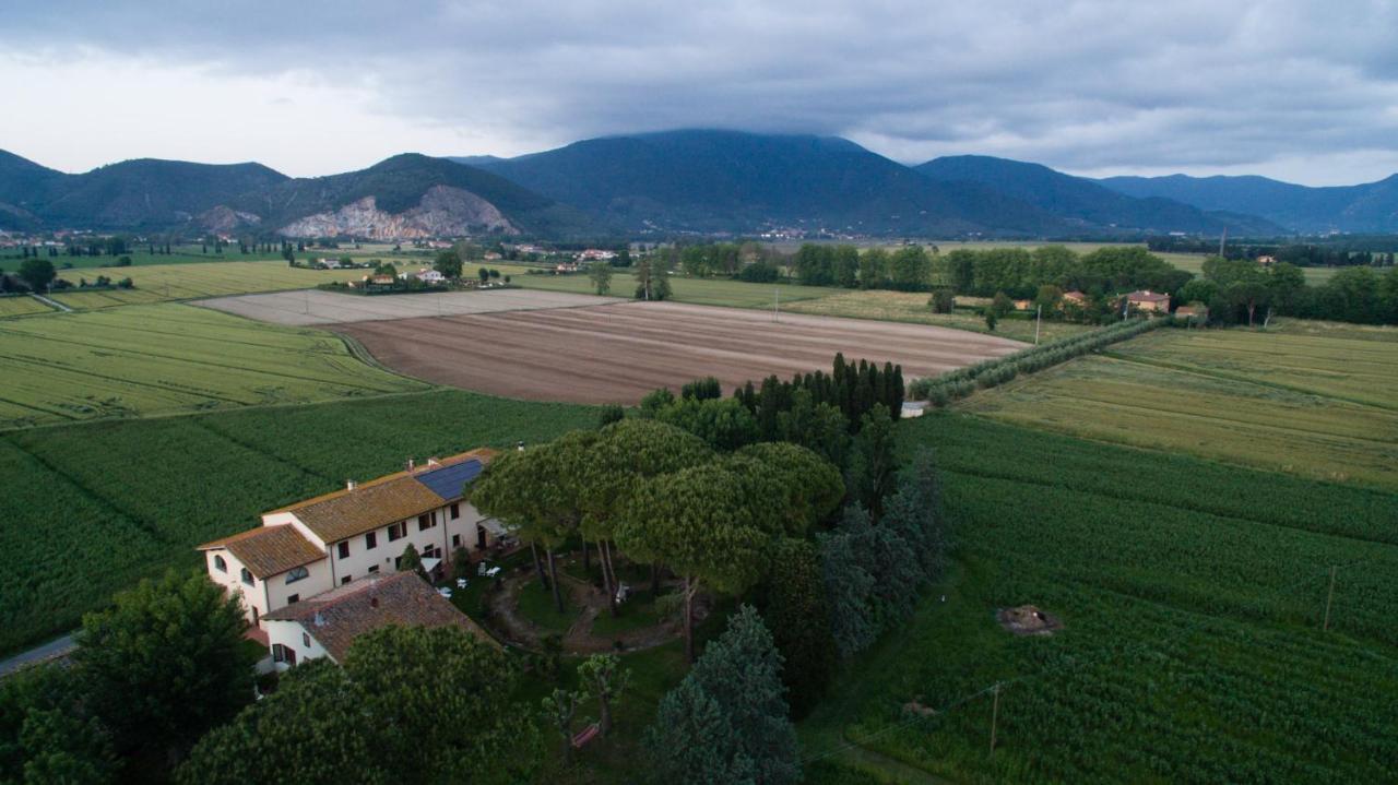 Podere Magnolia Pisa Esterno foto